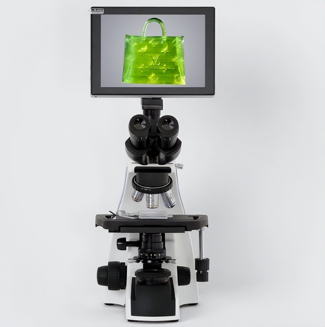 今年流行的lv包包款式,小个子最百搭的奢侈包包lv