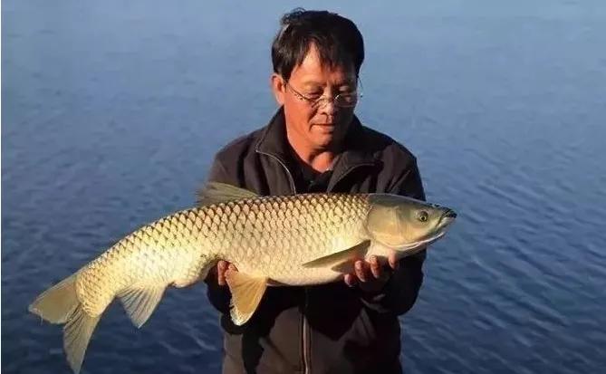 钓界丑闻，李大毛和爱徒“直播对骂”，扯出张姨是炒作吗？