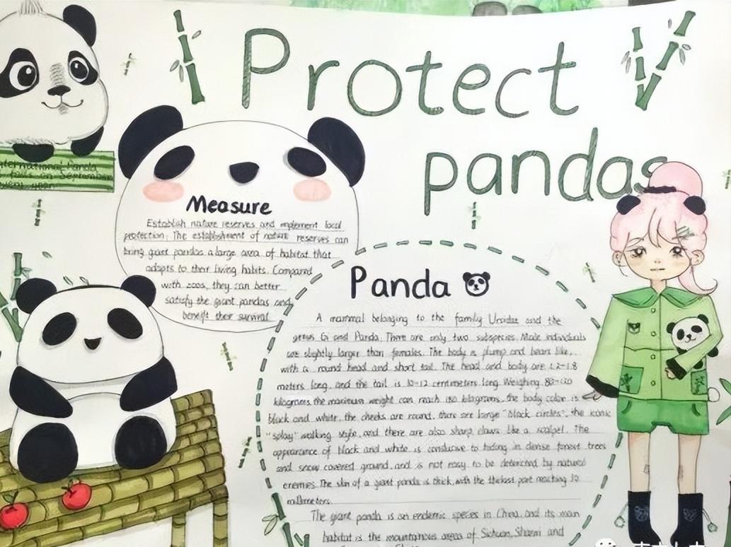保护动物的英语手抄报六年级图文,英语保护动物手抄报六年级内容