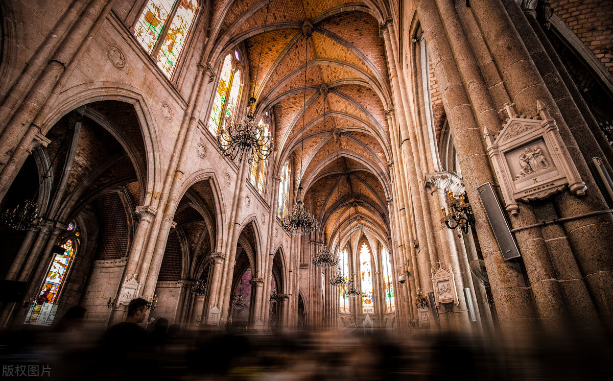 怒放的生命爆发,盛开的花朵怒放的生命