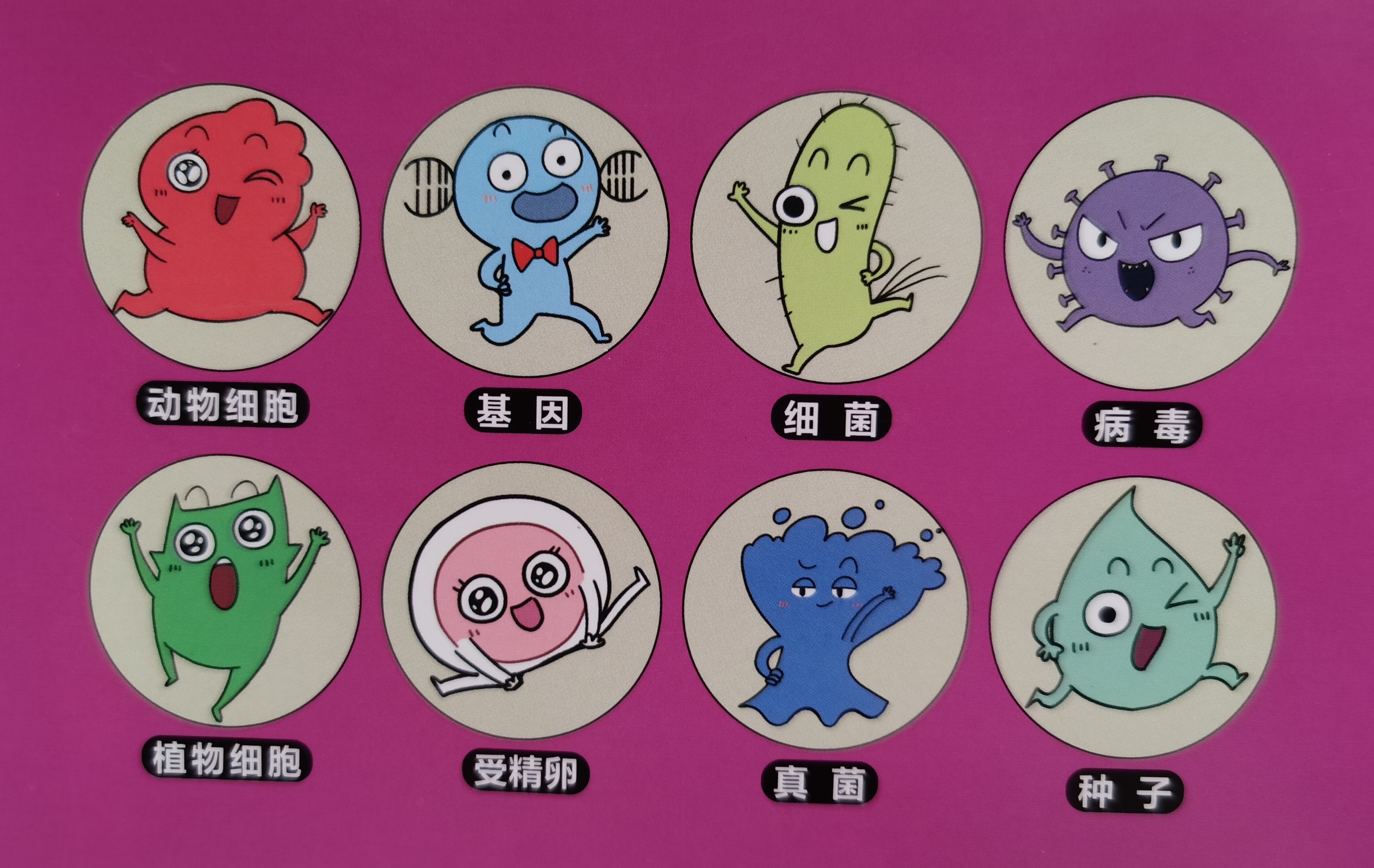 有趣又有料的漫画生物启蒙科普，为孩子开启生命探索之旅