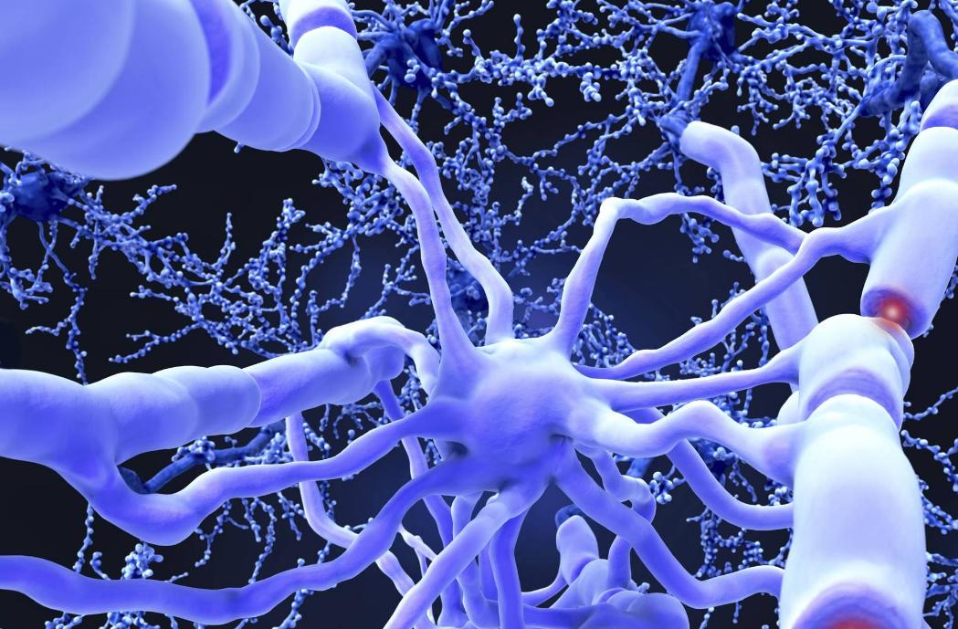 谷维素治失眠能长期吃吗,谷维素怎样服用能治失眠