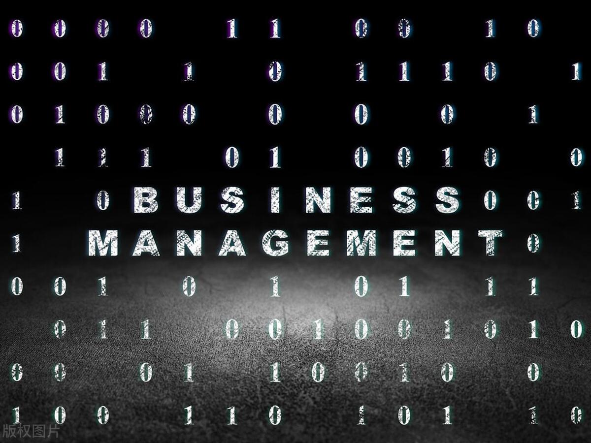 合资合作项目建议书,公司发展商业计划书