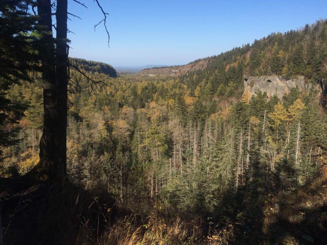 519长白山哪天免门票,519长白山免门票吗