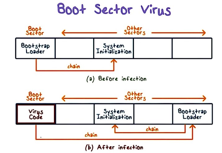 计算机病毒的传染途径主要有,计算机病毒按寄生方式分三种