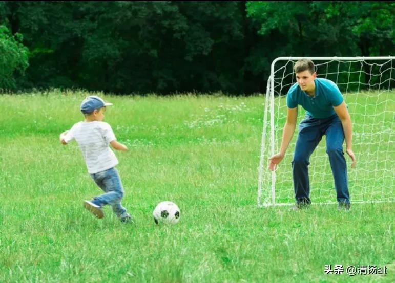 由世界杯引发的思考,足球世界杯联想