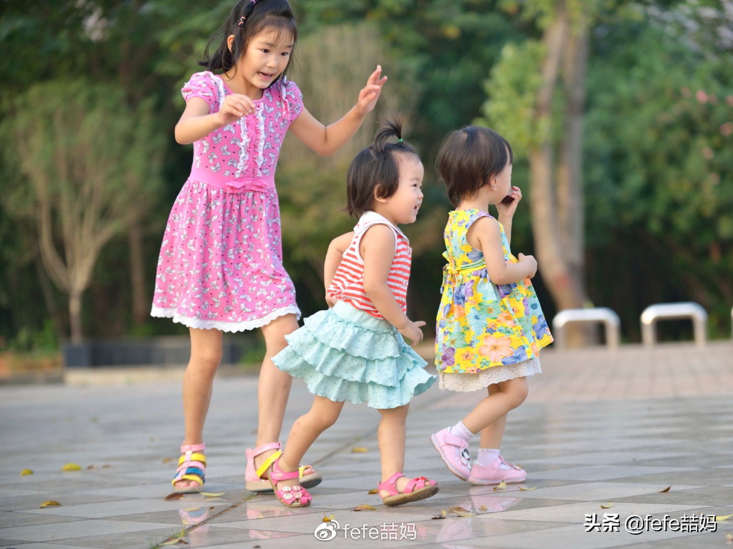 关于小动物的书推荐,好书推荐动物书单