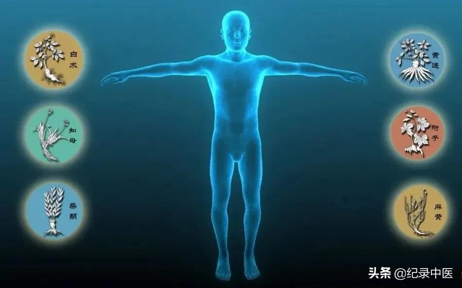 从时间针灸到时空针灸