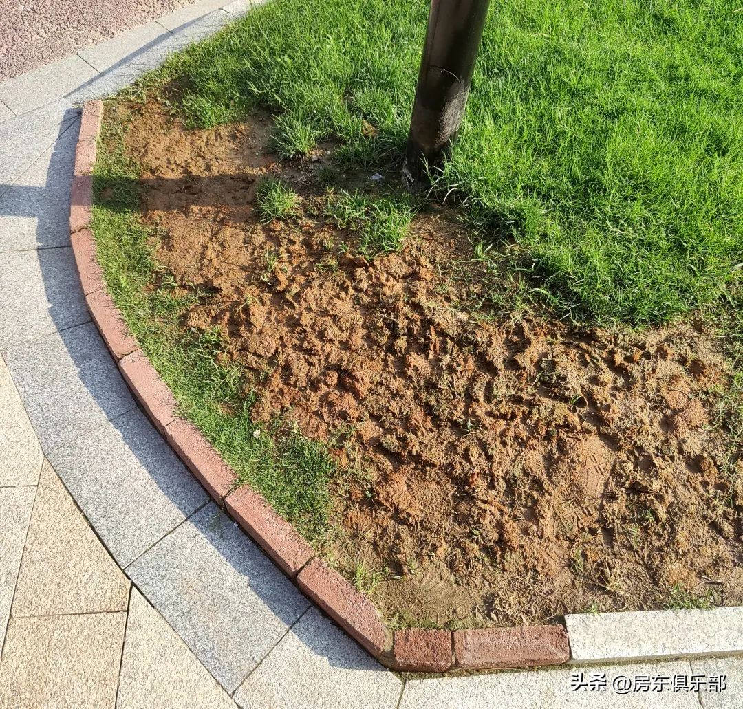 很多人不交物业费,真的很多人不交物业费