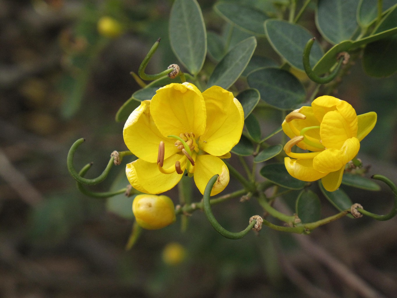 岱山岛为什么叫岱山岛呢,岱山岛定位