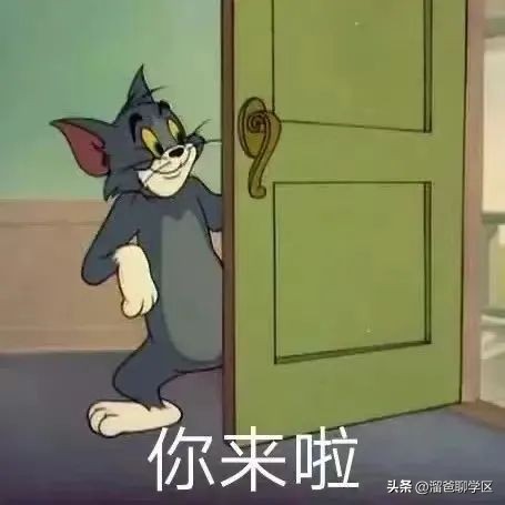 名校名企联手打造区域教育新高地,打造比肩东西海的教育强区