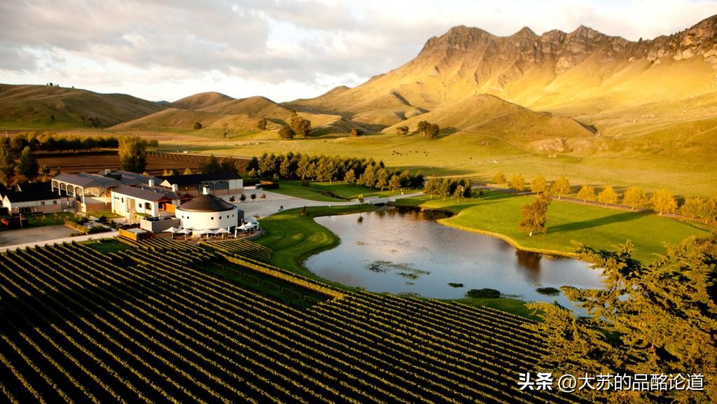 新西兰顶级白葡萄酒,新西兰云海湾葡萄酒价格13度