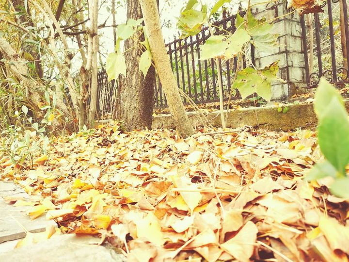 对口高考和普通高考的区别在哪,对口高考跟普通高考的试卷一样吗