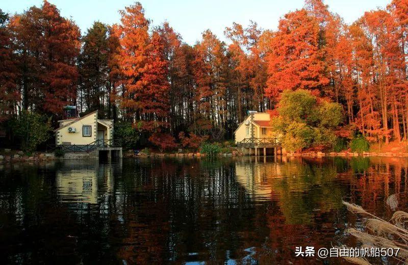 辽宁省沈阳市新民市西瓜价格,辽宁省沈阳市新民市工业园