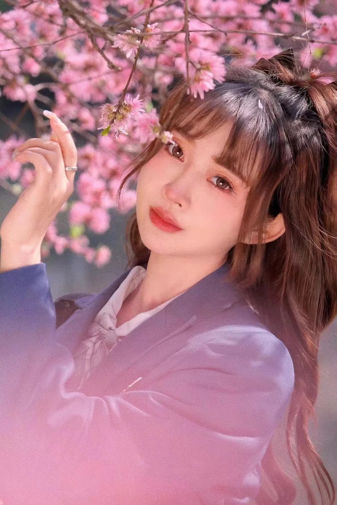 上线3天播放破亿的电视剧,上线24小时短剧破2000万