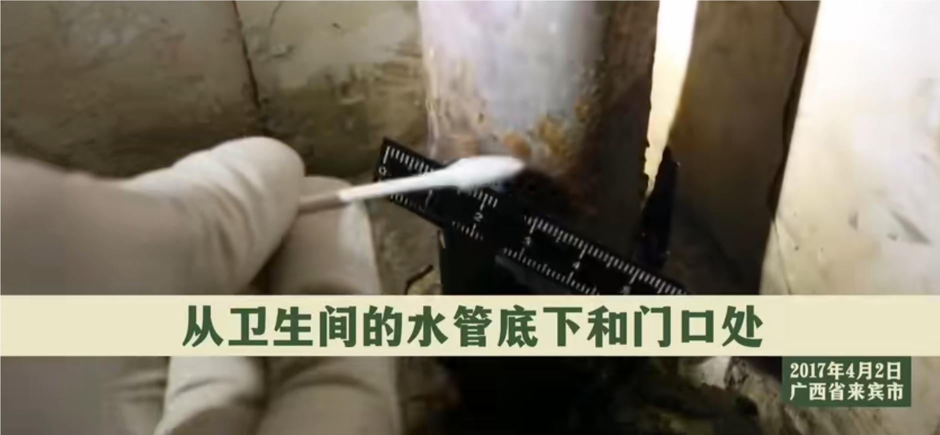 广西杀人碎尸案真实案例,广西杀害三姐妹碎尸案