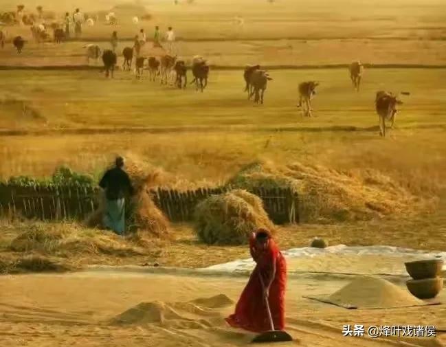 孟加拉国的现实生活,孟加拉国是女多男少的国家吗