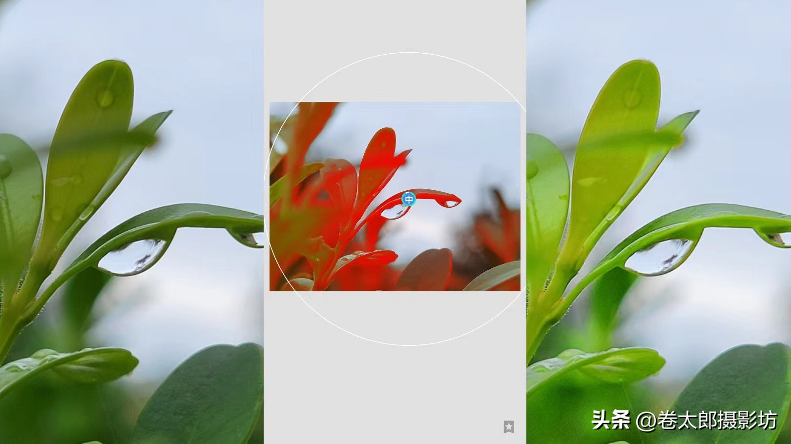 手机摄影后期修图教程,手机拍照后期修图