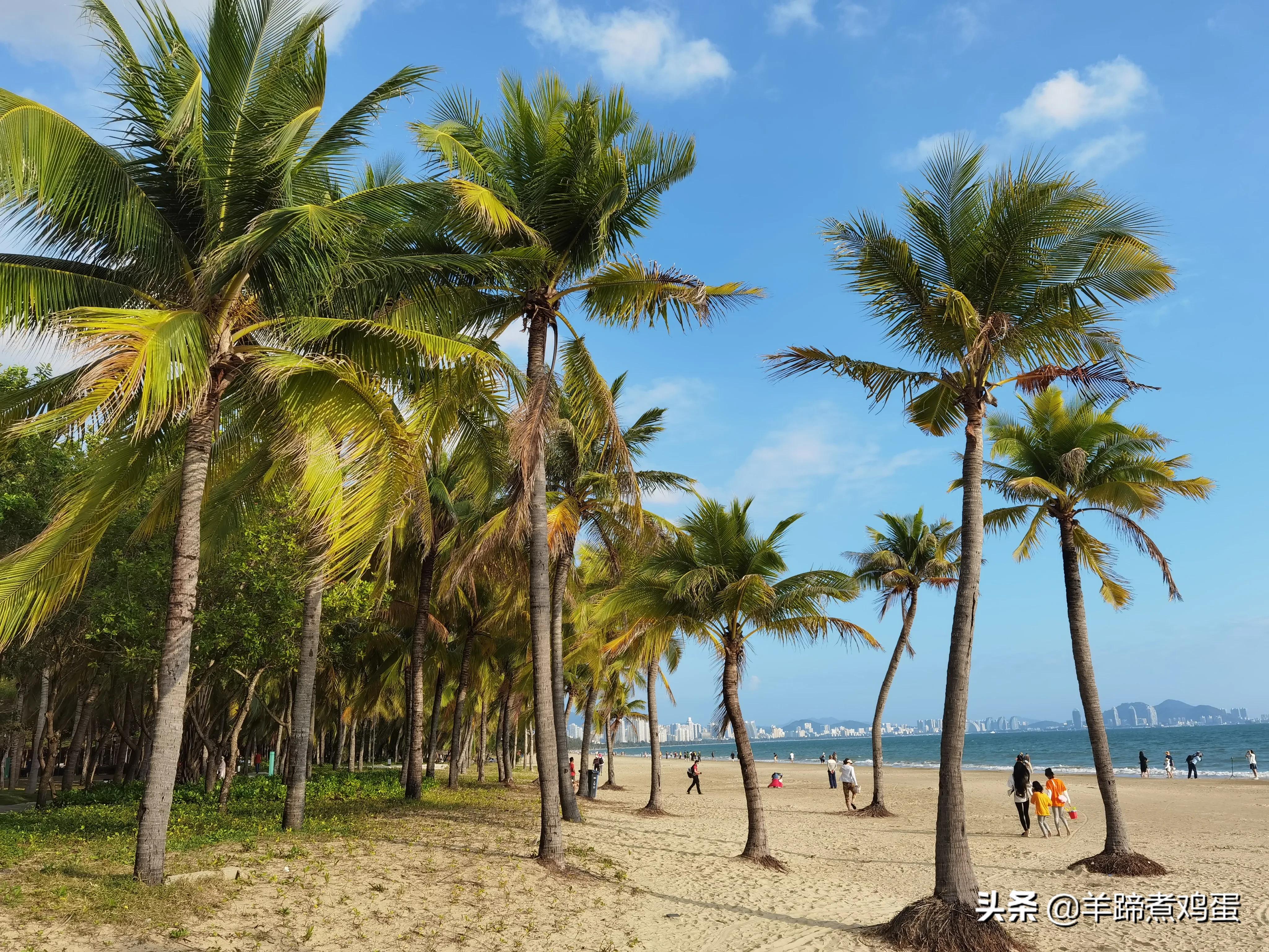 三亚椰梦长廊日落绝美,三亚湾椰梦长廊看夕阳最佳观赏点
