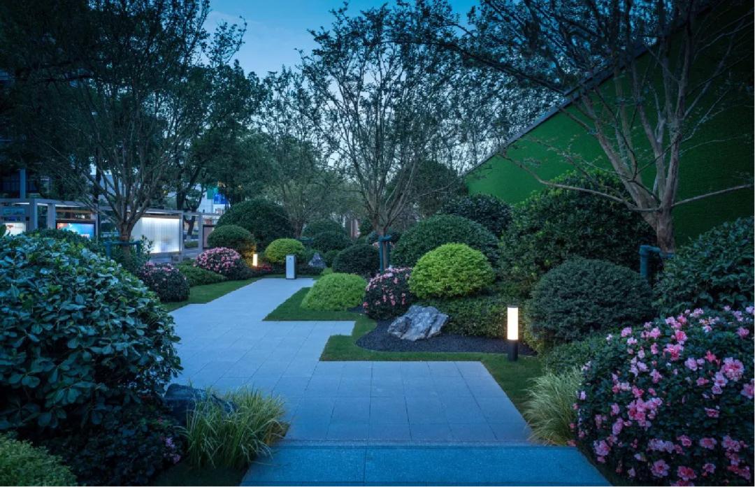 那些被我们忽略的风景,球球景观