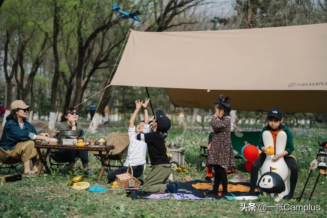 火枫现状,火枫近况