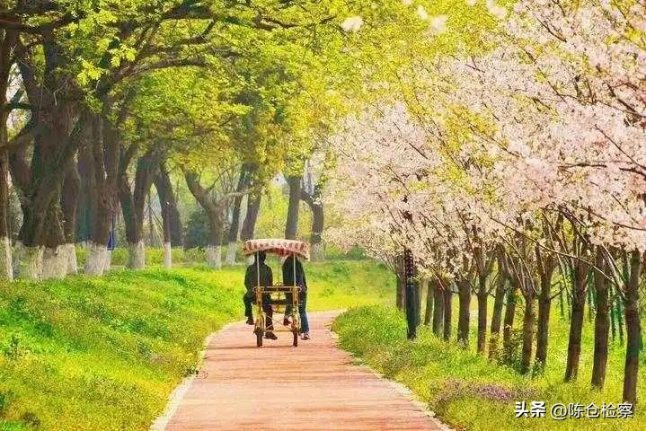 清明节追根溯源念祖怀远活动目的,追根溯源春节图片