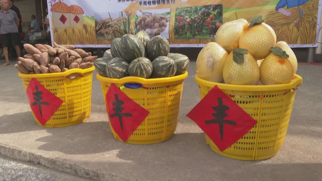 平南时钟,平南圩日什么时候