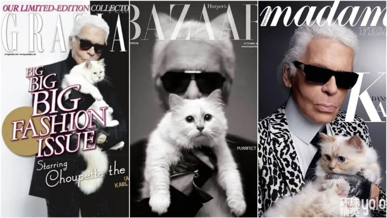 metgala绾㈡2022,metgala绾㈡2021