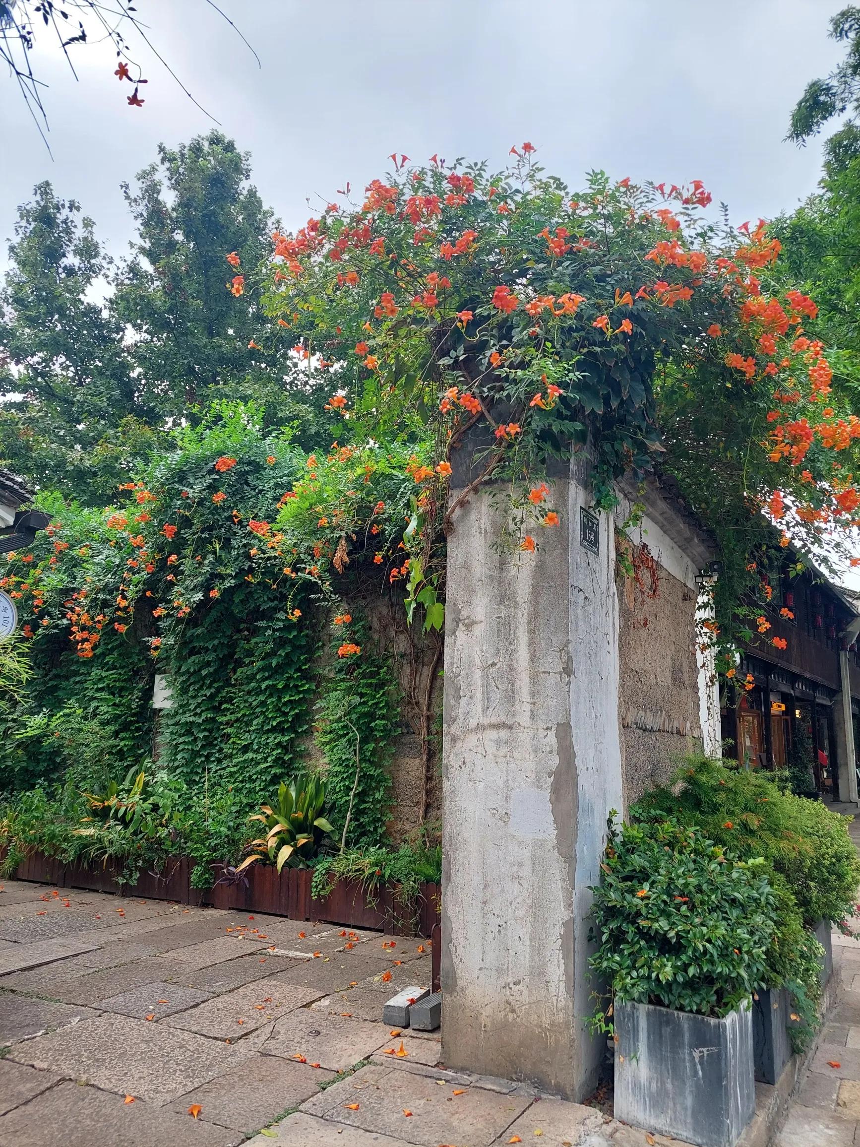 猪八戒职场生存法则,猪八戒的职场智慧