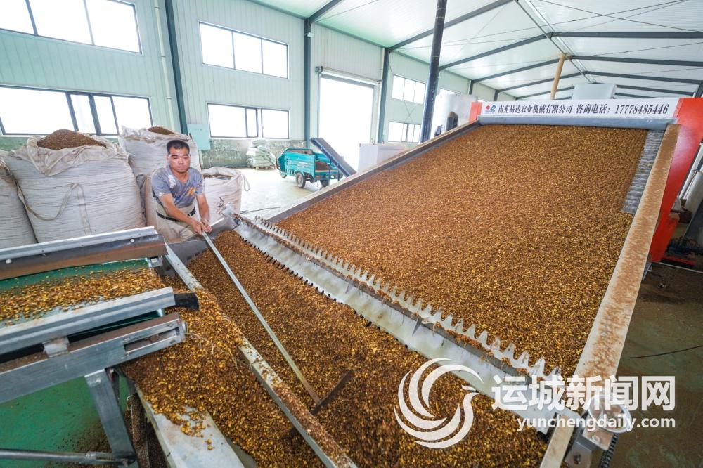 一季度全区重点项目建设情况汇报,万荣县第二季度重点项目