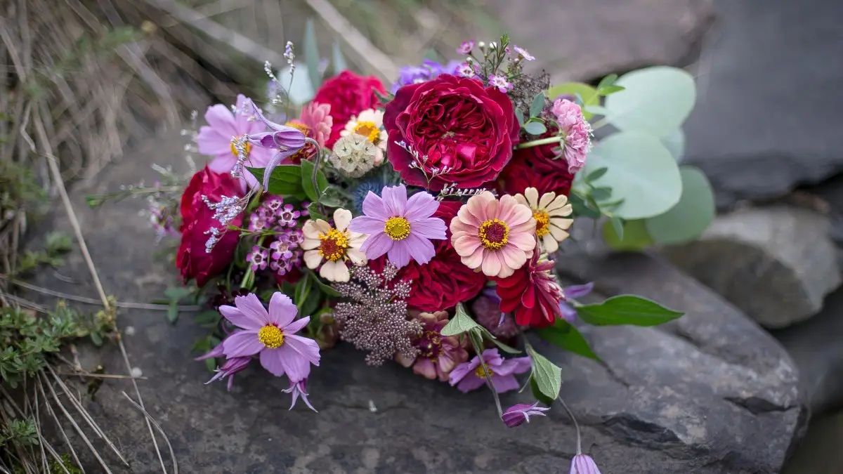 鲜花商标怎么选择,开一家鲜花店需要注册几类商标