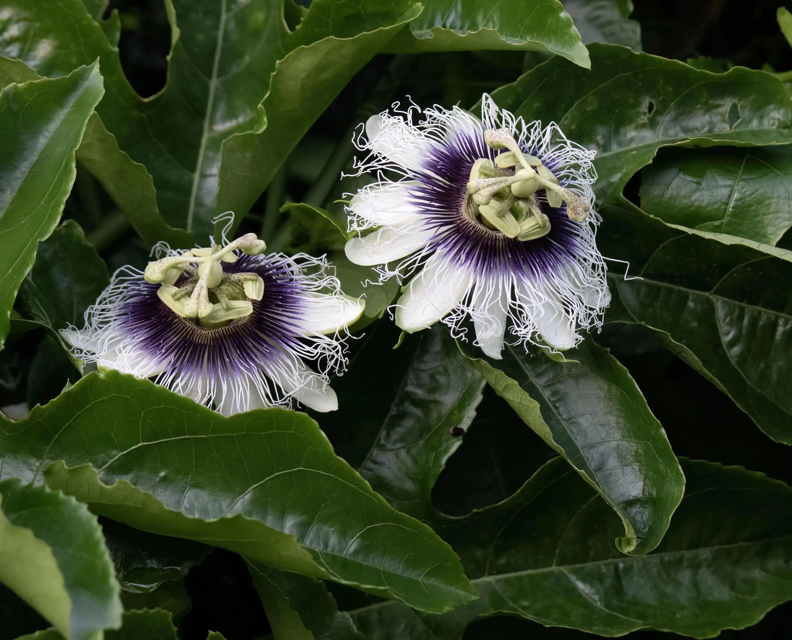 生财有道致富有门,致富有门路视频