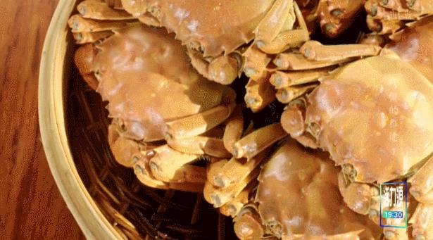 阳澄湖大闸蟹到底有多少真的假的,阳澄湖大闸蟹为什么很多假的