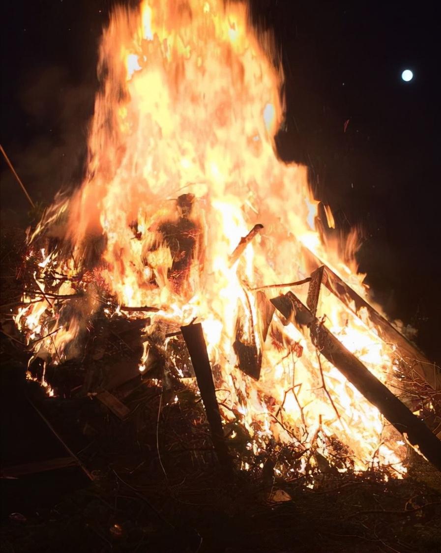真实大象图片大全可爱,真实野生大象图片