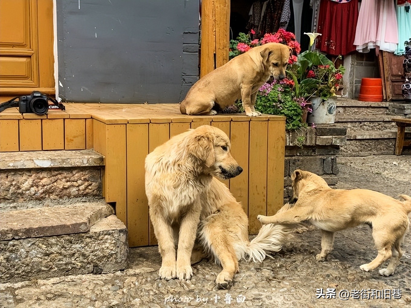 玩转云南自由行,昆明大理丽江6天5晚游多少钱