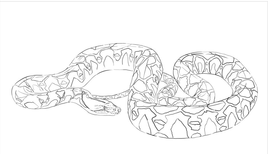 村民家中惊现200公斤重巨蟒,河里惊现500公斤重巨蟒