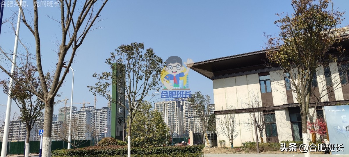 大力开发的滨湖西成色如何，班长跑遍16个项目带你看真实的板块