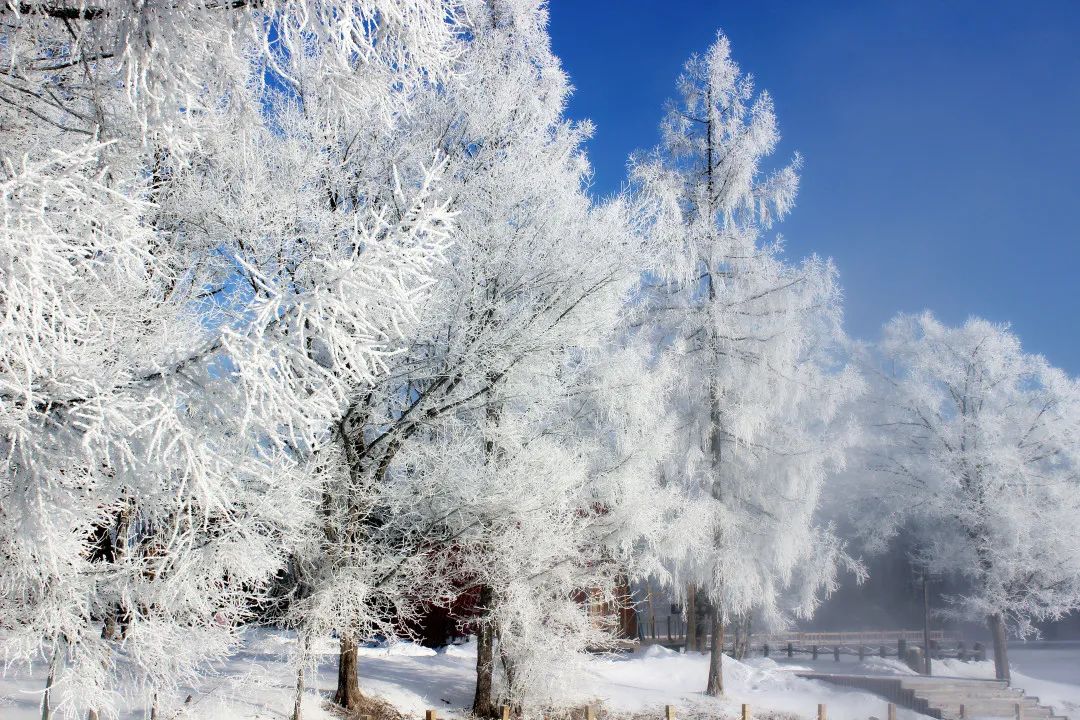长白山冰雪旅游季,长白山冰雪旅游发布会