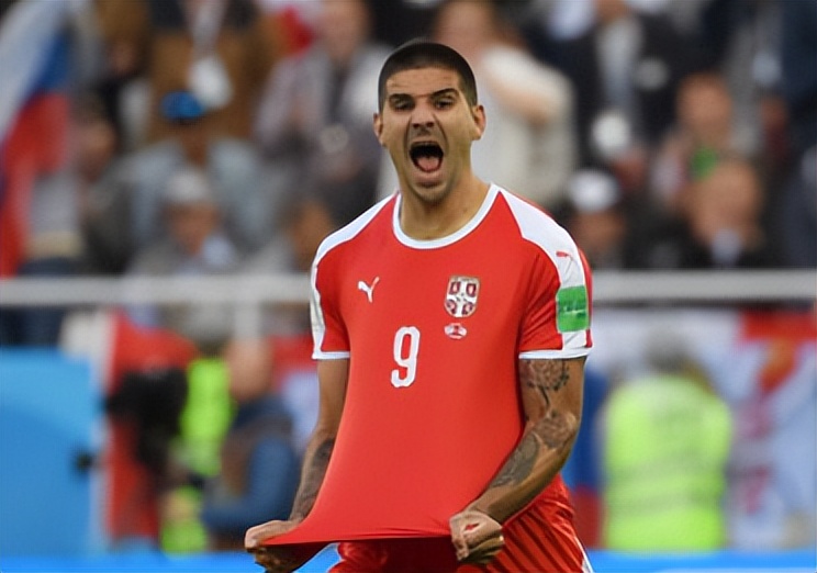 世界杯塞尔维亚队巡礼,世界杯参赛球队巡礼