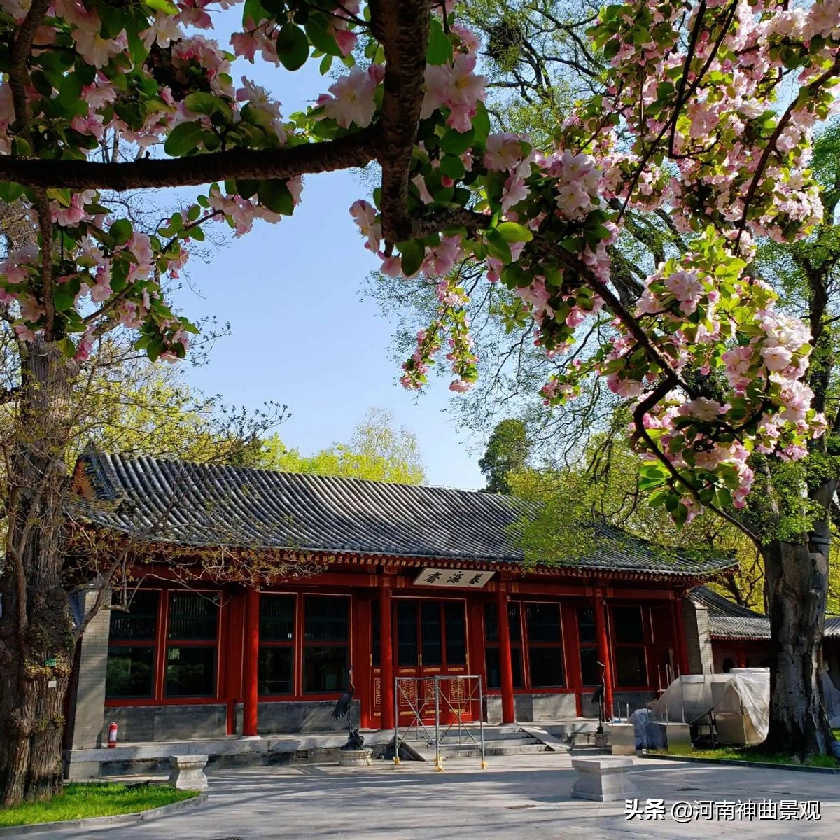 钓鱼台养源斋视频,钓鱼台国宾馆养源斋