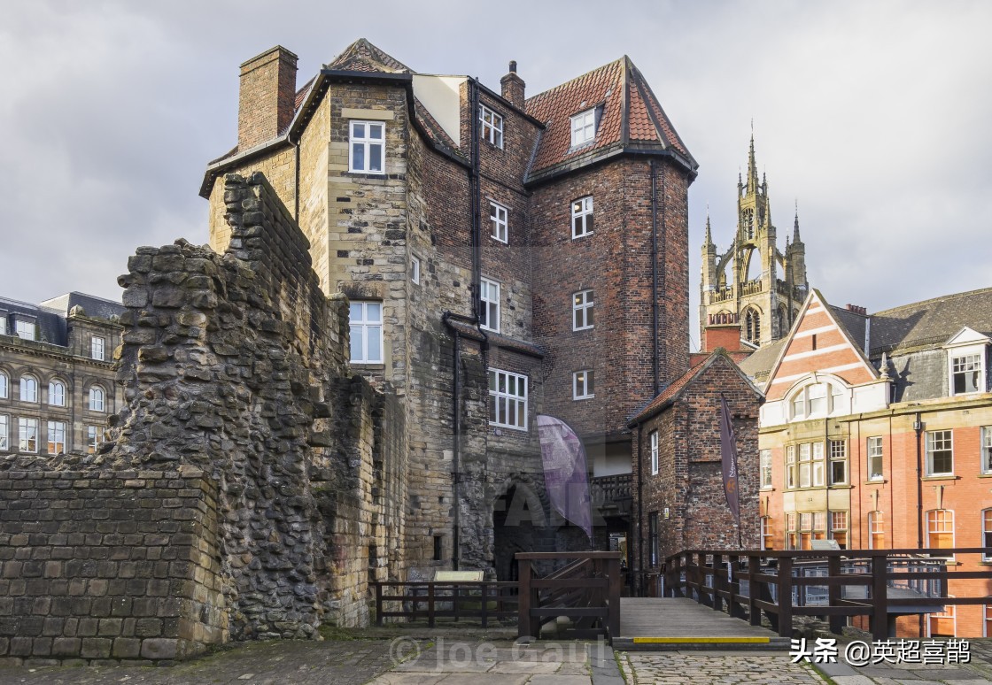 纽卡斯尔球迷多吗,纽卡斯尔球队历史