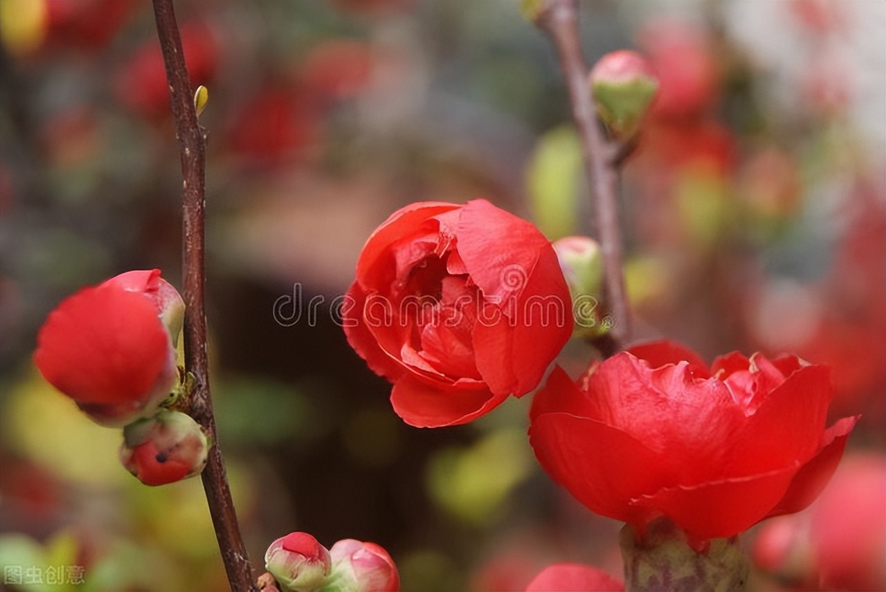 成年人最大的清醒是赚钱谋生,成年人最大的清醒就是存钱