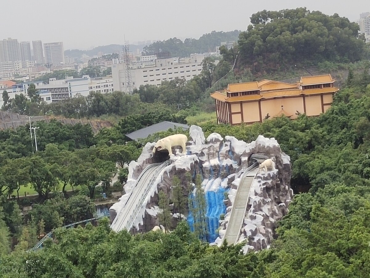 东莞市内旅游的景点都有哪些,东莞市里内特色游玩地方
