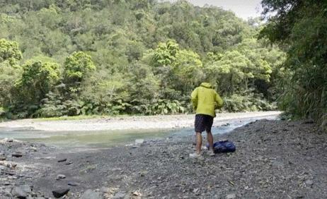 为什么男明星那么多姓张的,最近很火姓张的男明星