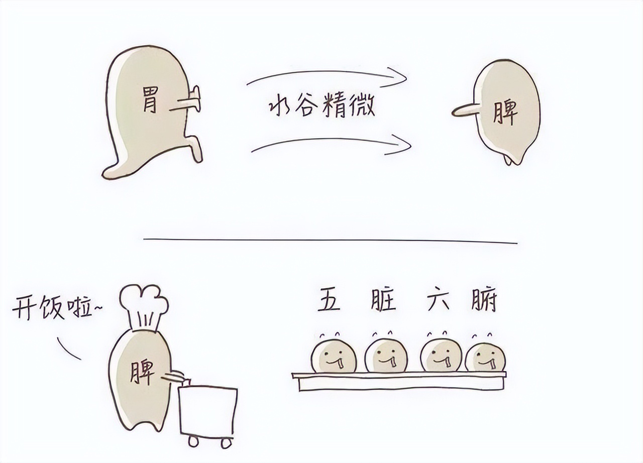 脾胃虚弱百病生老中医教你一招,脾胃伤百病生中医教你养好脾胃