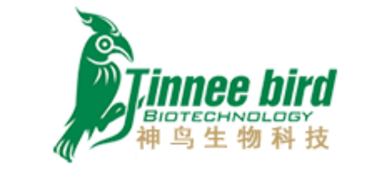 大连专业除甲醛公司有哪些,大连除甲醛哪家公司好