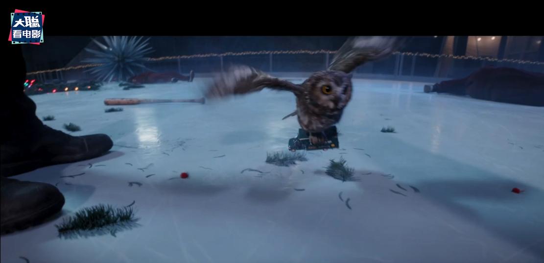 鹰眼大结局在线播放,鹰眼大结局完整版