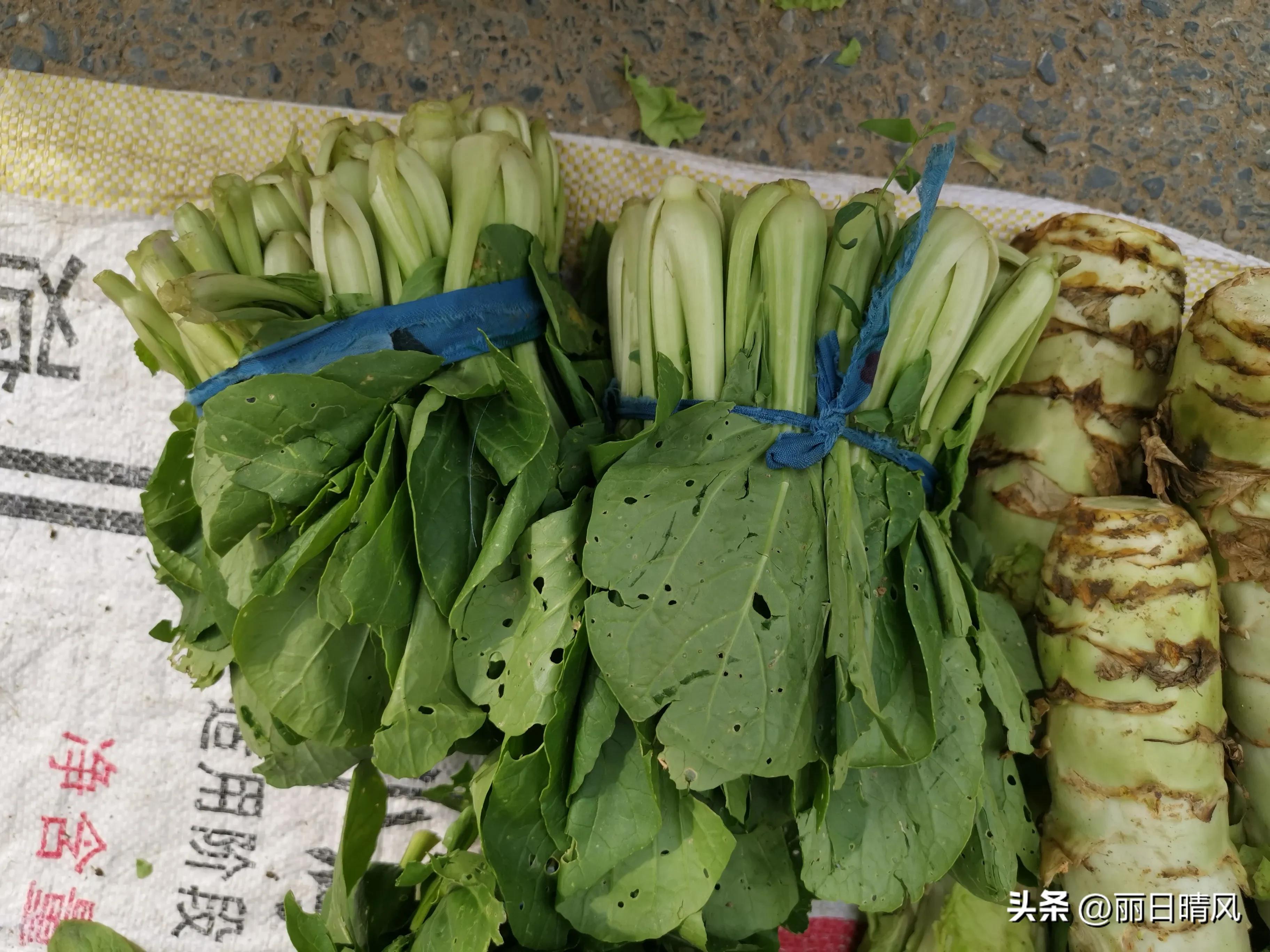 我的退休慢生活,我的退休生活该何去何从