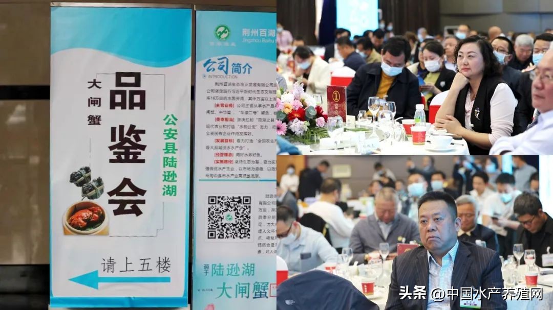 阳澄湖大闸蟹路线图,去阳澄湖大闸蟹攻略路线