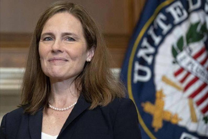 美国律法：精神错乱与不成文法的结论